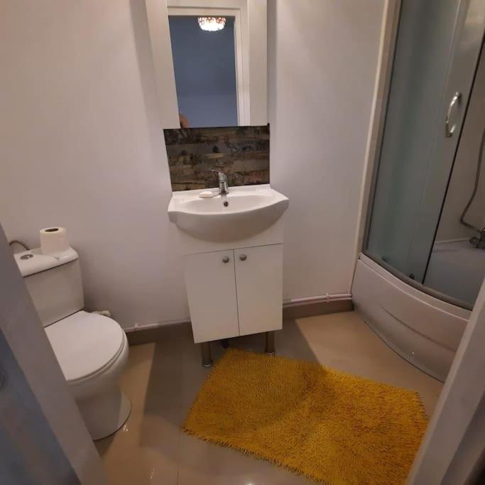יאשי Apartament In Zona Catedralei Mitropolitane מראה חיצוני תמונה